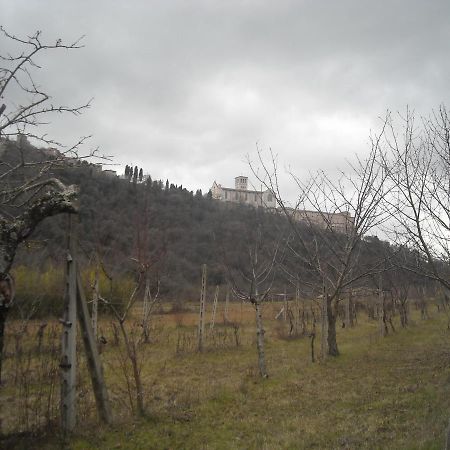 Camere Le Cascatelle Assisi Dış mekan fotoğraf