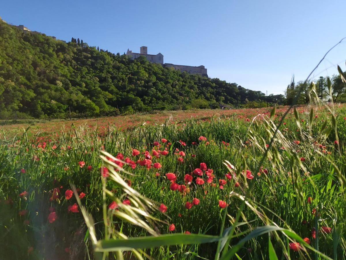 Camere Le Cascatelle Assisi Dış mekan fotoğraf