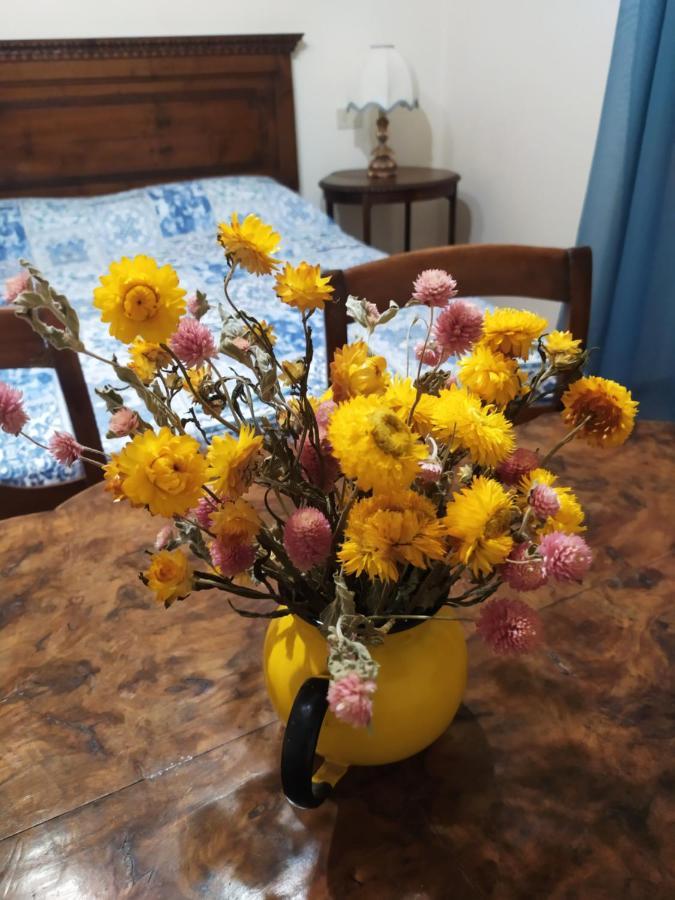 Camere Le Cascatelle Assisi Dış mekan fotoğraf