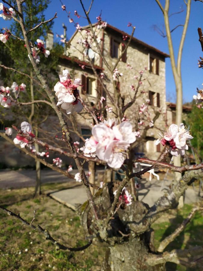 Camere Le Cascatelle Assisi Dış mekan fotoğraf