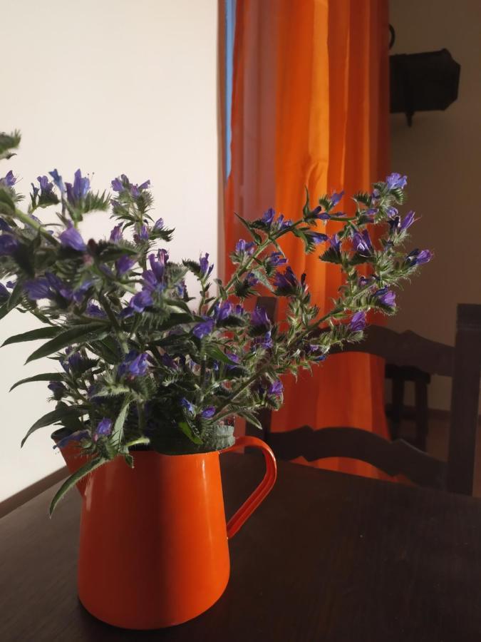 Camere Le Cascatelle Assisi Dış mekan fotoğraf